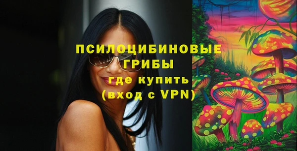 прущая мука Армянск